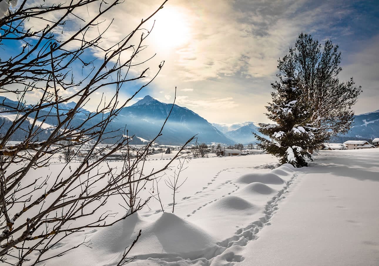 Snow-covered landscape with mountains, footprints, and a tree under a cloudy sky