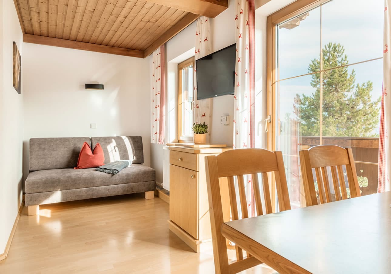 Bright living room with sofa, wooden furniture, and large window