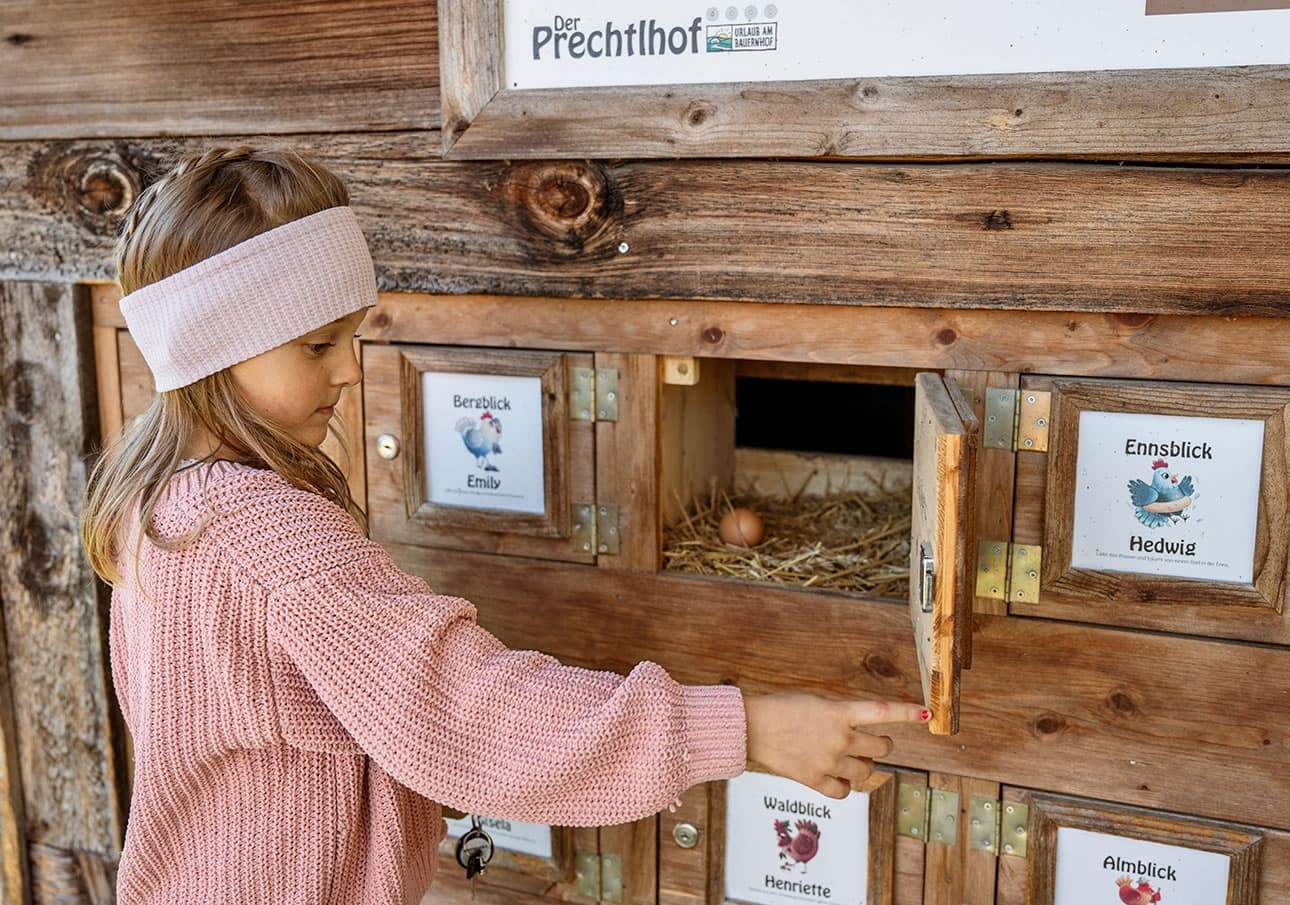 Eier holen von der eigenen Urlaubshenne