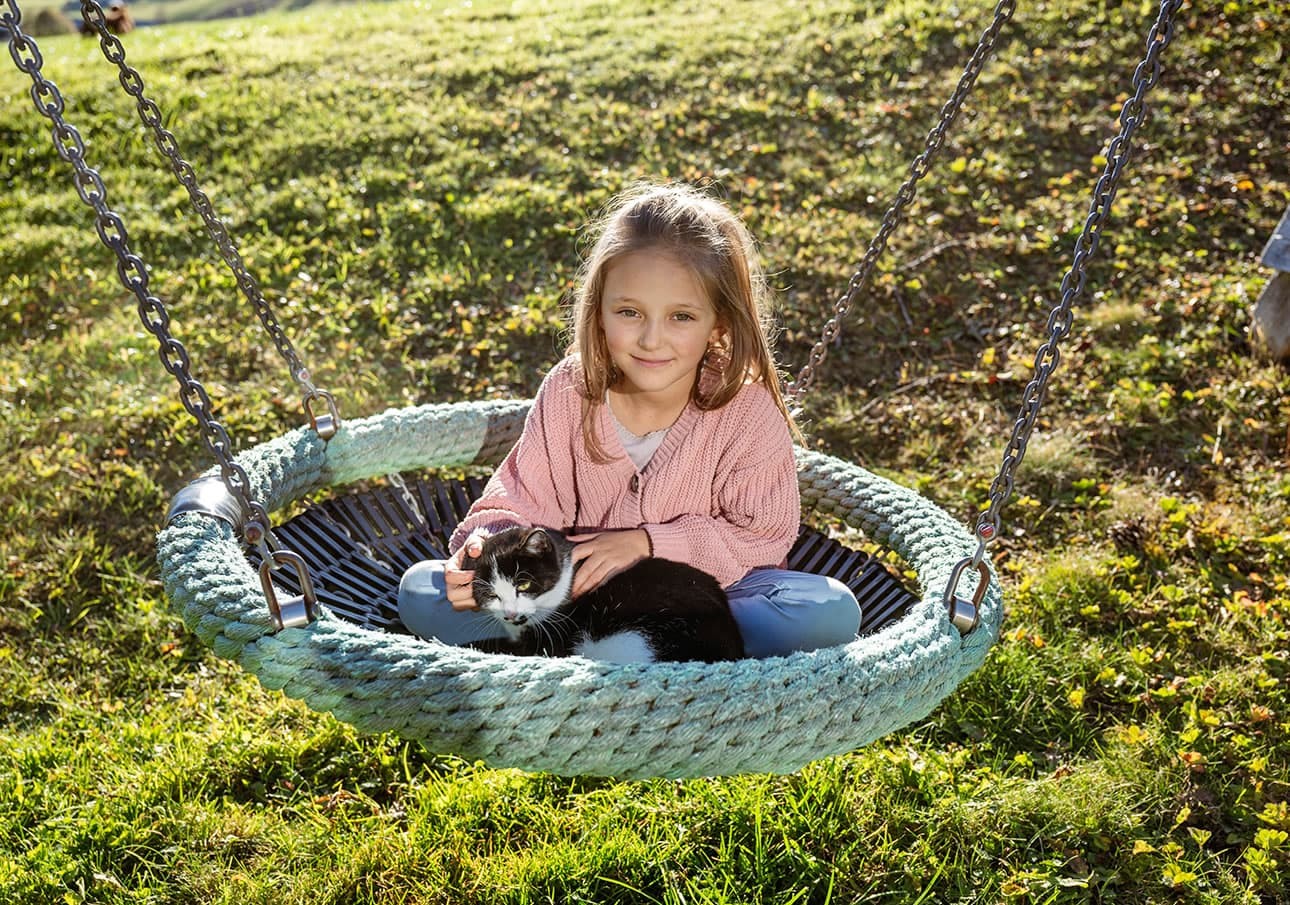 Katze streicheln in der großen Schaukel