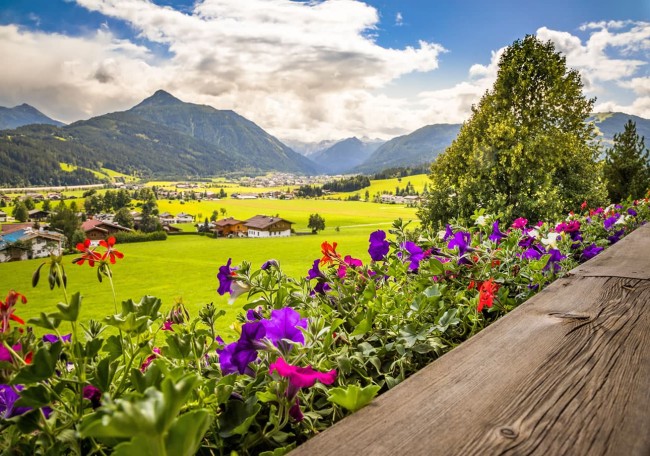 Panoramablick über Flachau - Bunte Blumen und grüne Wiesen vor einer Berglandschaft unter blauem Himmel