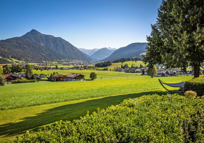 Blick über das Flachautal mit Bergen im Hintergrund und einem Baum auf der rechten Seite