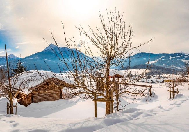 Verschneite Berghütte und Bäume vor einem sonnigen, winterlichen Bergpanorama