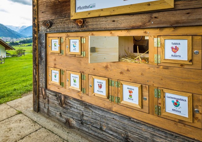 Holzhütte mit neun kleinen Türen, dahinter ein Blick auf Heuboden und Namensschilder von Hühnern