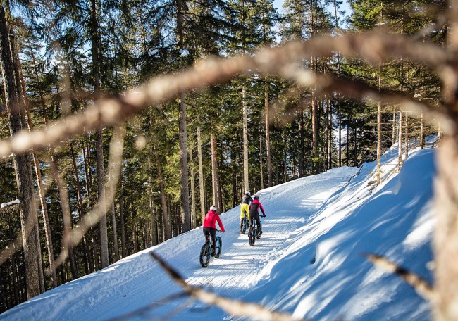 Drei Personen fahren mit Fahrrädern auf einem schneebedeckten Weg durch einen Wald