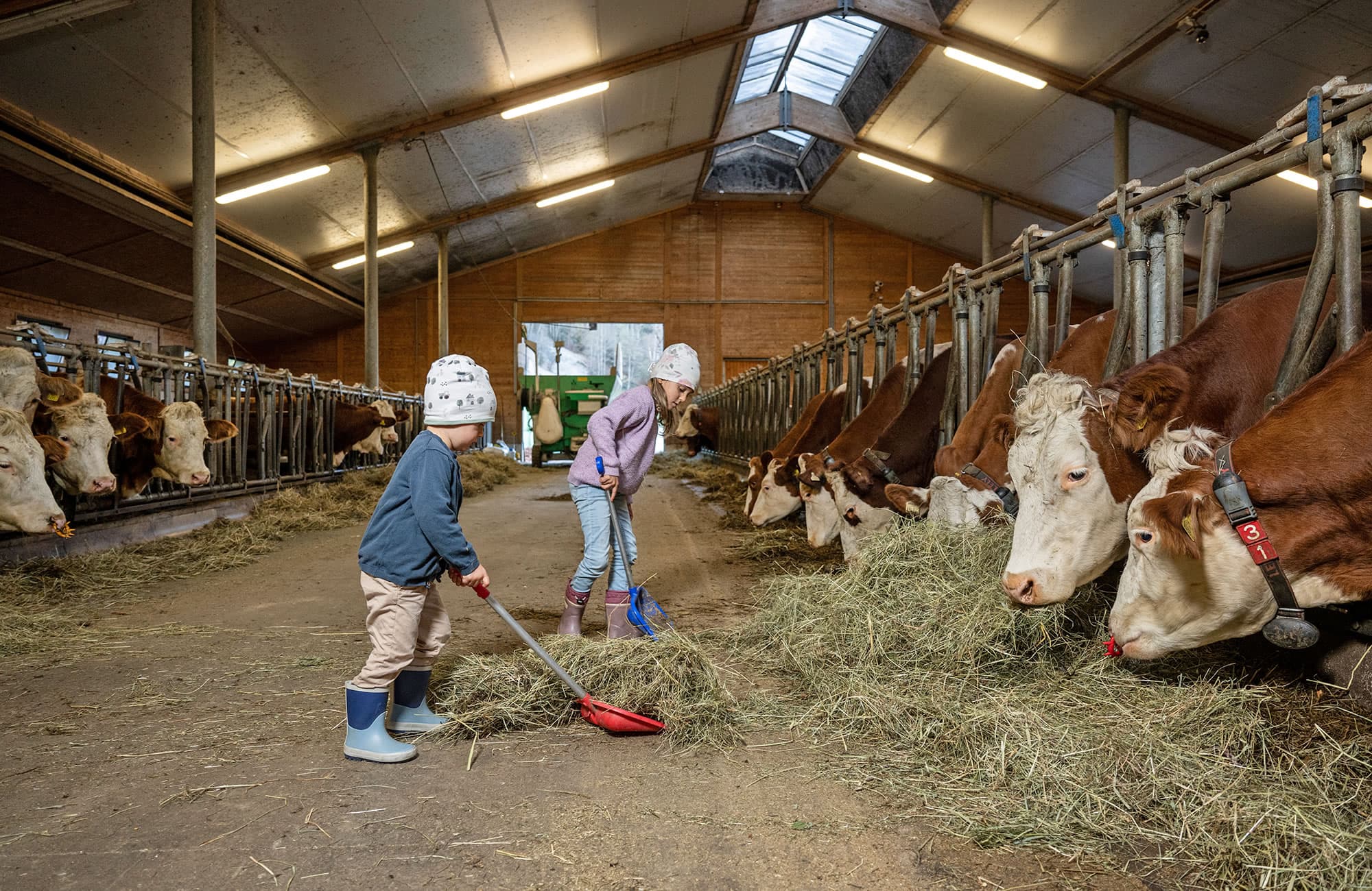 Mithelfen im Stall