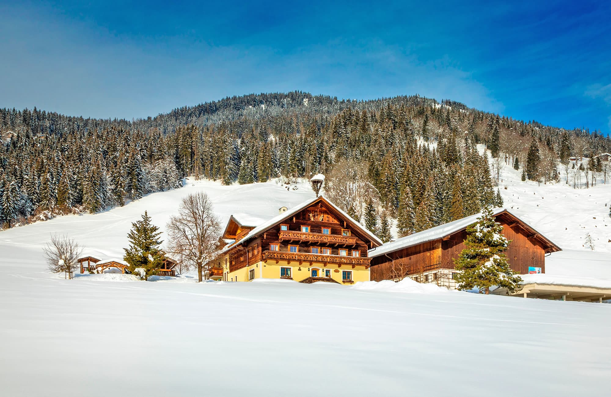 Winter holiday on our farm in Austria